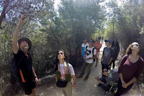 Active Day Tour One-Way From Launceston To Hobart Via Wineglass Bay - Yarra Valley Accommodation 0