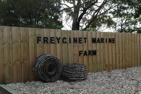 Active Day Tour One-Way From Launceston To Hobart Via Wineglass Bay - Yarra Valley Accommodation 3