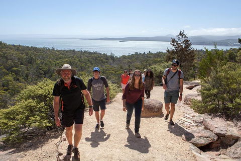 3-Day Tasmania Combo: Launceston To Hobart Active Tour Including Cradle Mountain, Freycinet National Park And Port Arthur - Yarra Valley Accommodation 5