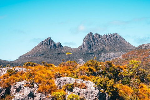 Cradle Mountain National Park Day Tour From Launceston - Yarra Valley Accommodation 1