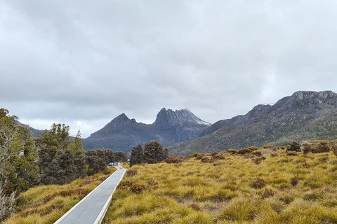 Cradle Mountain National Park Day Tour From Launceston - Yarra Valley Accommodation 2