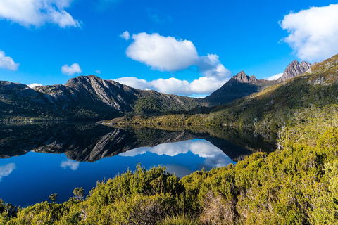 Cradle Mountain National Park Day Tour From Launceston - Yarra Valley Accommodation 3