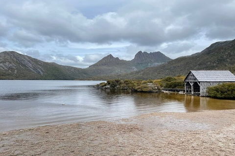 Cradle Mountain National Park Day Tour From Launceston - Yarra Valley Accommodation 4