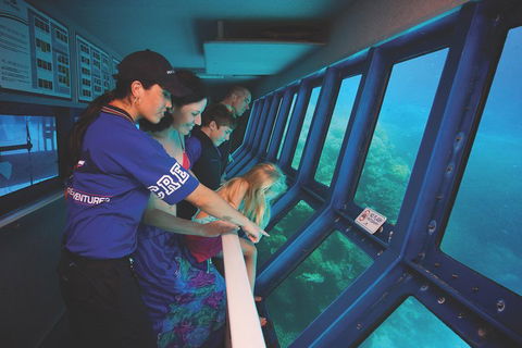 Great Barrier Reef Adventure From Cairns - Yarra Valley Accommodation 0