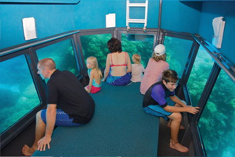 Great Barrier Reef Adventure From Cairns - Yarra Valley Accommodation 1