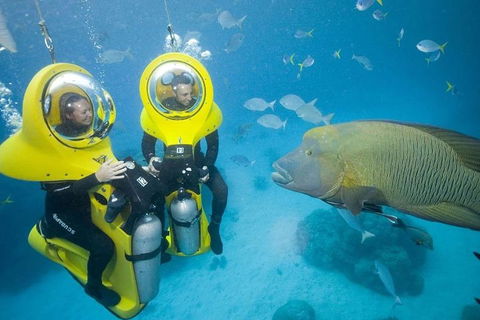 Great Barrier Reef Adventure From Cairns - Yarra Valley Accommodation 2