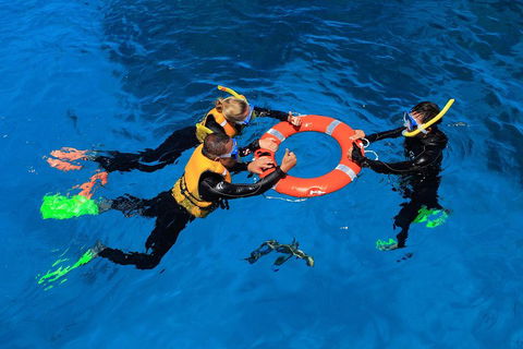 Great Barrier Reef Adventure From Cairns - Yarra Valley Accommodation 3