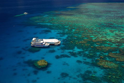 Great Barrier Reef Adventure From Cairns - Yarra Valley Accommodation 4