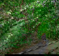 Green Island Eco Adventure from Cairns - Yarra Valley Accommodation
