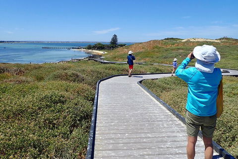 Penguin And Seal Islands Sea Kayaking Experience - Yarra Valley Accommodation 1