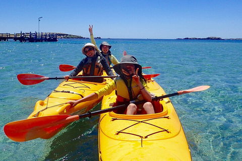 Penguin And Seal Islands Sea Kayaking Experience - Yarra Valley Accommodation 4