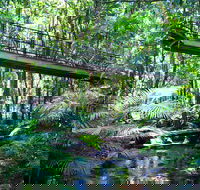 Double Pack-Ancient Rainforest and Waterfalls - Yarra Valley Accommodation