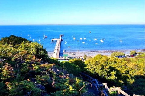 Mornington Peninsula Sightseeing Tour For 2-6 Guests. - Yarra Valley Accommodation 1