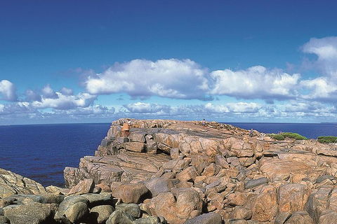 4 Day Tour: Albany, Margaret River, Valley Of The Giants TreeTop Walk From Perth - Yarra Valley Accommodation 0