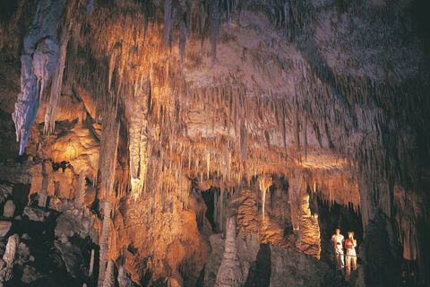4 Day Tour: Albany, Margaret River, Valley Of The Giants TreeTop Walk From Perth - Yarra Valley Accommodation 1