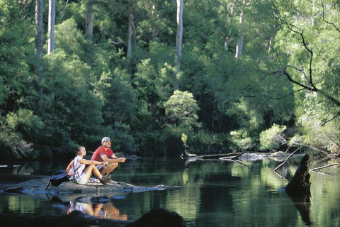 4 Day Tour: Albany, Margaret River, Valley Of The Giants TreeTop Walk From Perth - Yarra Valley Accommodation 3