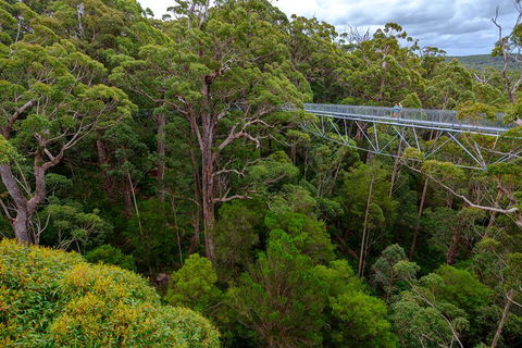 4 Day Tour: Albany, Margaret River, Valley Of The Giants TreeTop Walk From Perth - Yarra Valley Accommodation 4
