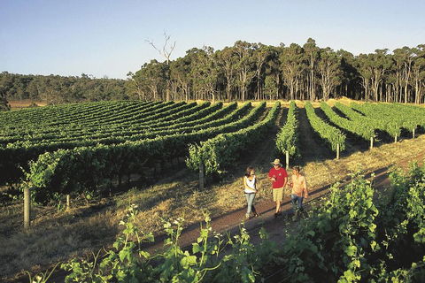 Margaret River, Caves, Wine And Cape Leeuwin Lighthouse Tour From Perth - Yarra Valley Accommodation 1