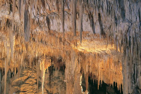Margaret River, Caves, Wine And Cape Leeuwin Lighthouse Tour From Perth - Yarra Valley Accommodation 3