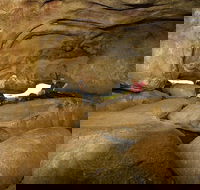 2-Day Wave Rock York Wildflowers  Aboriginal Experience - Yarra Valley Accommodation