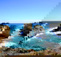 Great Ocean Road Small-Group Ecotour from Melbourne