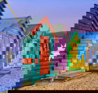 Phillip Island Penguin Brighton Beach Moonlit Sanctuary from Melbourne