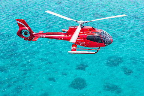 Helicopter And Cruise Packages From Port Douglas - Yarra Valley Accommodation 5