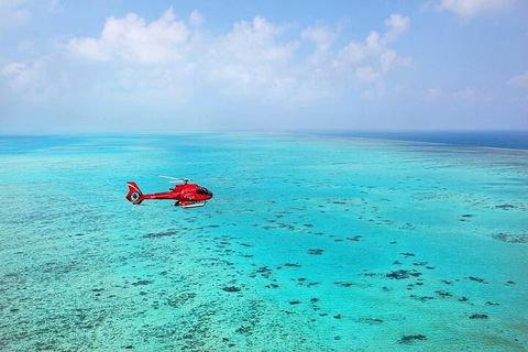 Ultimate Great Barrier Reef And Rainforest 45-minute Helicopter Tour - Yarra Valley Accommodation 2
