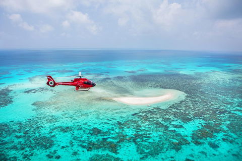 Ultimate Great Barrier Reef And Rainforest 45-minute Helicopter Tour - Yarra Valley Accommodation 3