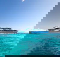Fremantle to Rottnest Island Roundtrip Ferry Ticket - Yarra Valley Accommodation
