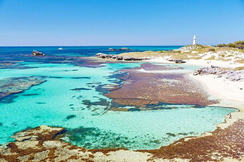 Rottnest Island All-Inclusive Grand Island Tour From Fremantle - Yarra Valley Accommodation 1