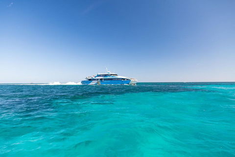 Rottnest Island Fortress Adventure Segway Package From Fremantle - Yarra Valley Accommodation 0