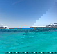 Rottnest Island Bayseeker Day Trip from Perth - Yarra Valley Accommodation