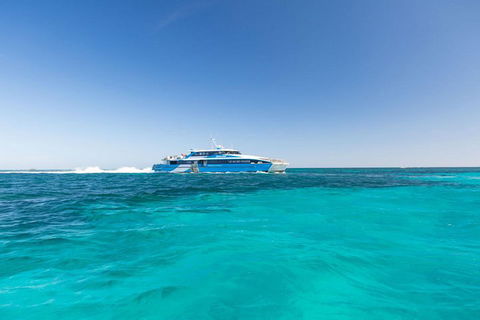 Rottnest Island Bayseeker Day Trip From Perth - Yarra Valley Accommodation 0