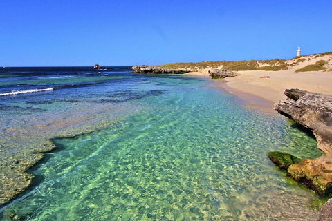 Rottnest Island Bayseeker Day Trip From Perth - Yarra Valley Accommodation 5