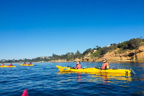 Mornington Peninsula Kayak Coastline Tour Of Dolphin Sanctuary - Yarra Valley Accommodation 1