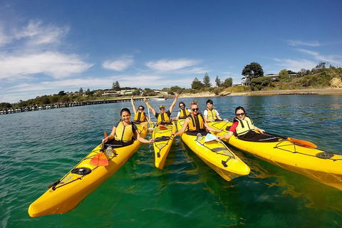 Mornington Peninsula Kayak Coastline Tour Of Dolphin Sanctuary - Yarra Valley Accommodation 2