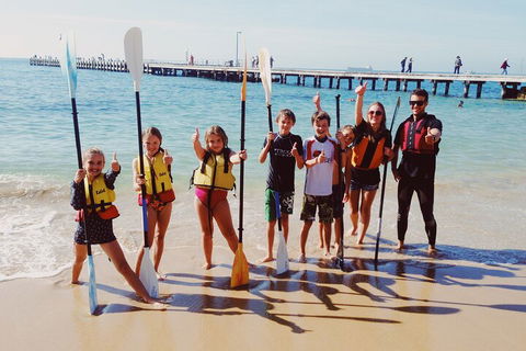 Mornington Peninsula Kayak Coastline Tour Of Dolphin Sanctuary - Yarra Valley Accommodation 3