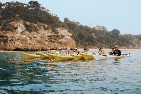 Mornington Peninsula Kayak Coastline Tour Of Dolphin Sanctuary - Yarra Valley Accommodation 4