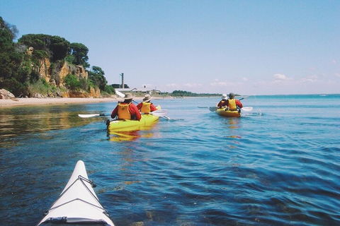 Mornington Peninsula Kayak Coastline Tour Of Dolphin Sanctuary - Yarra Valley Accommodation 5