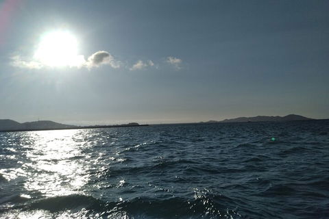 Townsville Small Group Early Morning Sailing Cruise Boat Tour Charter Hire - Yarra Valley Accommodation 4