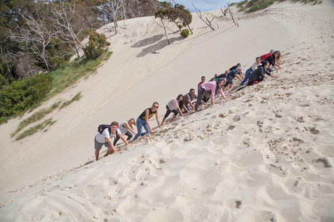 6-Day Tasmanian Explorer Adventure Tour From Hobart - Yarra Valley Accommodation 2