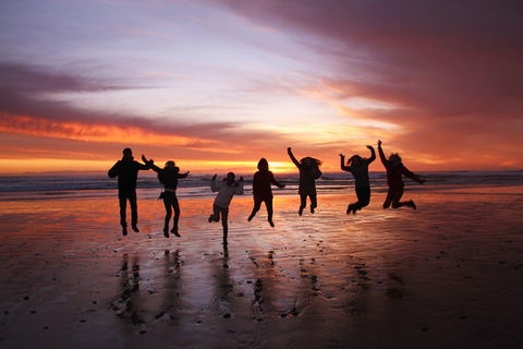 6-Day Tasmanian Explorer Adventure Tour From Hobart - Yarra Valley Accommodation 3