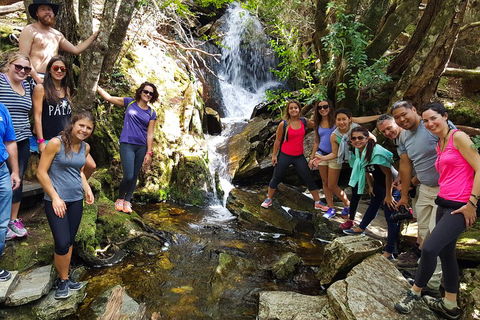 7-Day Super Value Tour Of Tasmania: Explore Tasmania's West And East Coasts - Yarra Valley Accommodation 2