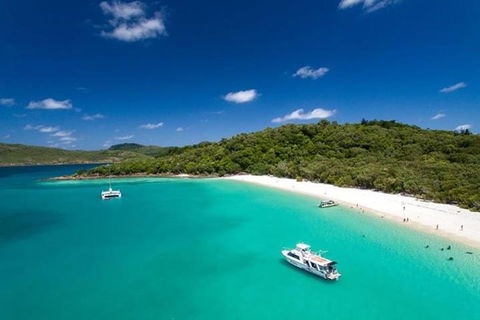 Whitehaven Beach And Hill Inlet | Awesome Beach BBQ | Family Friendly - Yarra Valley Accommodation 3