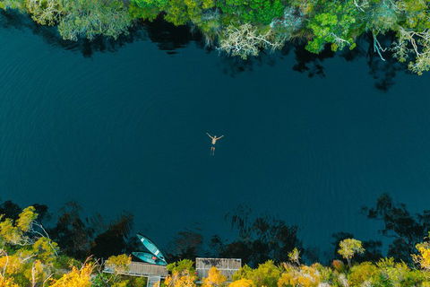 Cruise 'n' Canoe To Australia's Everglades - Yarra Valley Accommodation 2