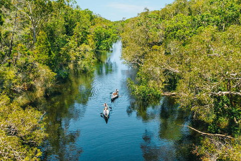 Cruise 'n' Canoe To Australia's Everglades - Yarra Valley Accommodation 3