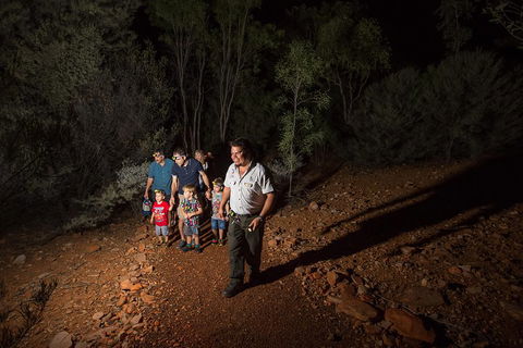 Alice Springs Desert Park Nocturnal Tour - Yarra Valley Accommodation 0