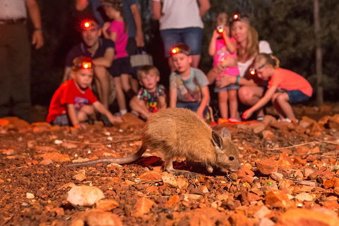 Alice Springs Desert Park Nocturnal Tour - Yarra Valley Accommodation 1