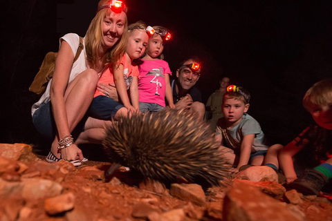 Alice Springs Desert Park Nocturnal Tour - Yarra Valley Accommodation 5